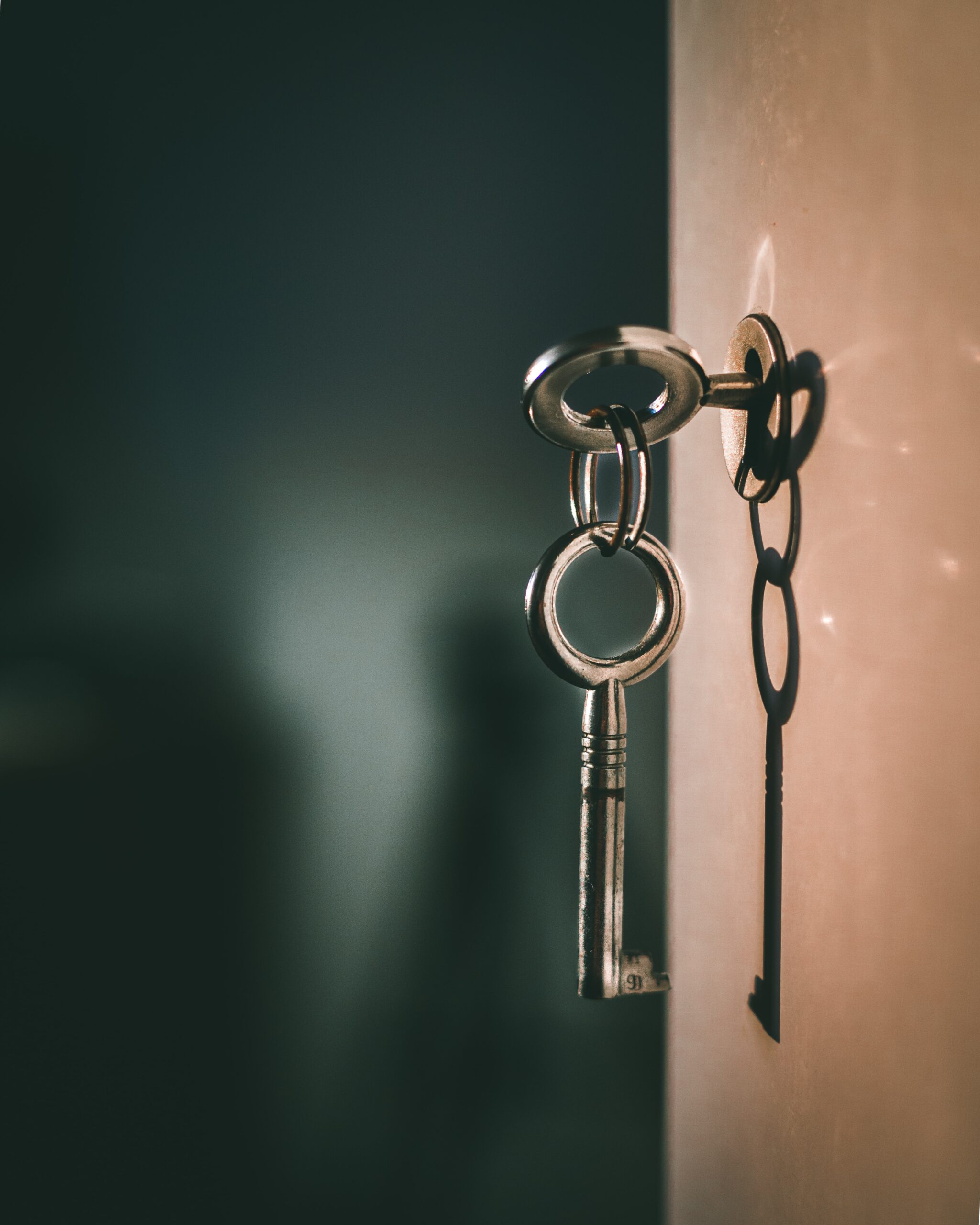 agence immobilière